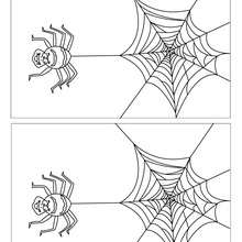 HALLOWEEN SPIDER  spot the 5 differences - Free Kids Games - DIFFERENCE GAMES - HALLOWEEN difference games