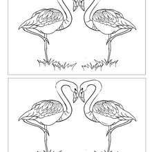 PINK FLAMINGOS HEART 12 differences game