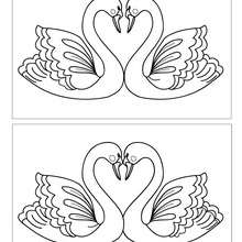 SWAN HEART 12 differences game