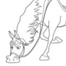 tangled coloring pages maximus gladiator - photo #10