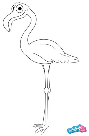 flamingo drawing for kids