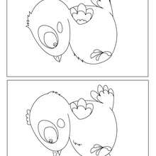 CHICK difference game