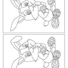 BUNNY difference game