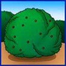 How to Draw a Bush - Drawing for kids - Drawing tutorials step by step - Trees