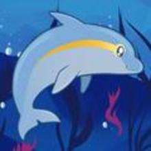 How to Draw a Dolphin for Kids