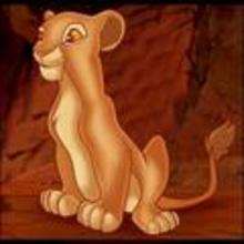 How to Draw a Lion King Lion, Lion King Lions