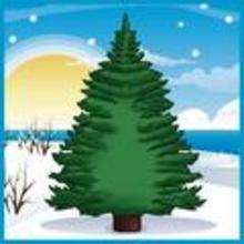 How to Draw a Pine Tree - Drawing for kids - Drawing tutorials step by step - Trees