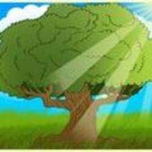 How to Draw an Oak Tree - Drawing for kids - Drawing tutorials step by step - Trees