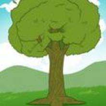 How to Draw Branches - Drawing for kids - Drawing tutorials step by step - Trees
