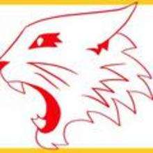 How to Draw High School Musical Wildcats Logo - Drawing for kids - Drawing tutorials step by step - Disney
