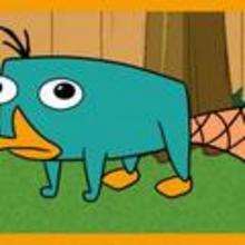How to Draw Perry the Platypus from Phineas and Ferb - Drawing for kids - Drawing tutorials step by step - Disney