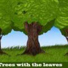 How to Draw Trees - Drawing for kids - Drawing tutorials step by step - Trees