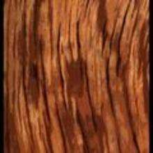How to Draw Wood - Drawing for kids - Drawing tutorials step by step - Trees