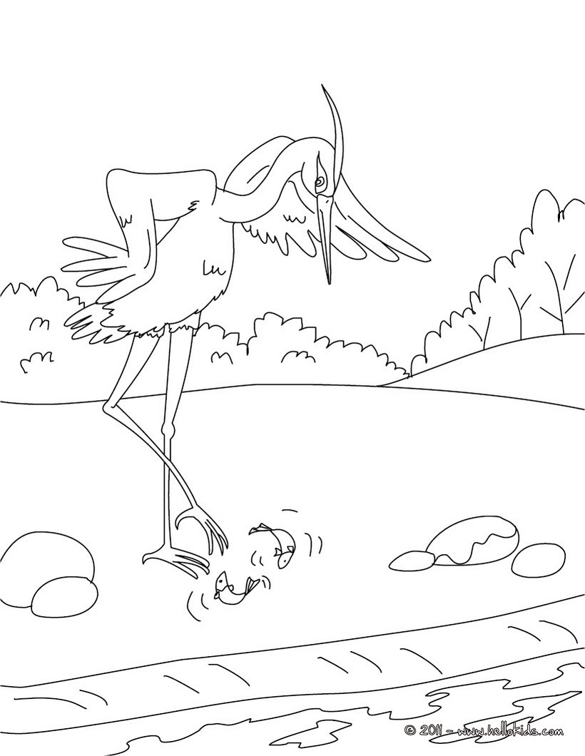 Fables Coloring Pages Kidsuki
