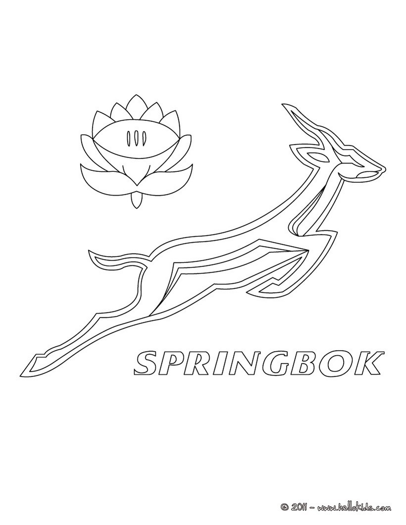 South africa spring box team coloring pages - Hellokids.com