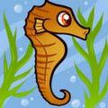 How to Draw a Seahorse for Kids