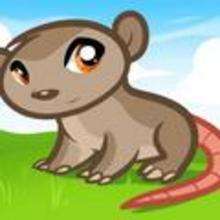 How to Draw a Possum for Kids - Drawing for kids - Drawing tutorials step by step - Animals For Kids
