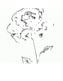 How to draw a rose step by step - Drawing for kids - Drawing tutorials step by step - Flowers For Kids