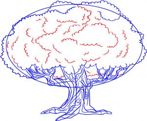 How to draw how to draw an oak tree Hellokidscom