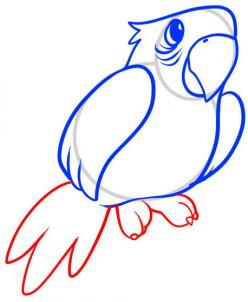 Parrot Draw