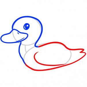 Duck To Draw