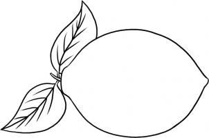 Drawings Of Lemons