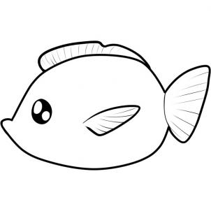 COME DISEGNARE UN PESCE PASSO PER PASSO FACILE 