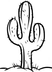 saguaro cactus drawing