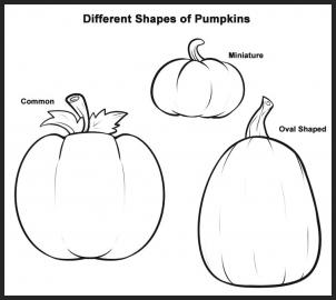 How to draw how to draw pumpkins Hellokidscom