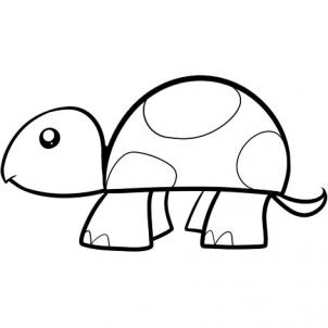 fjl_how-to-draw-a-turtle-for-kids-step-5.jpg