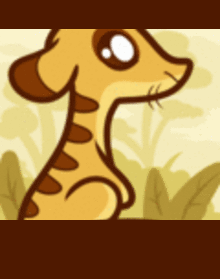 draw a meerkat