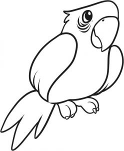 Parrot Draw
