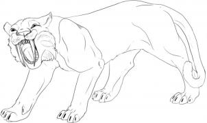 How to draw how to draw a saber tooth tiger Hellokidscom