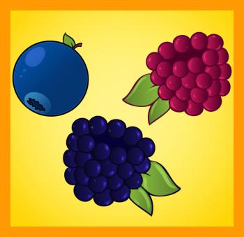 How to draw how to draw berries - Hellokids.com