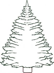 How to draw how to draw a pine tree Hellokidscom