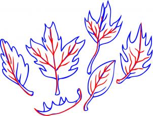 Fall Leaf Drawings