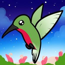 Draw A Hummingbird