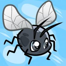 Draw A Fly