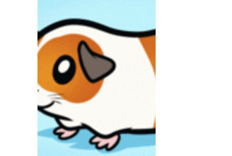 How to Draw a Guinea Pig for Kids - Drawing for kids - Drawing tutorials step by step - Animals For Kids