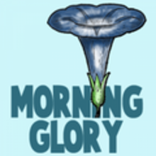 How to draw how to draw morning glory by step drawing tutorial