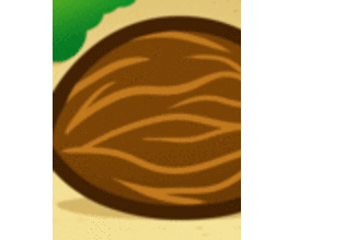 How to Draw Coconuts - Drawing for kids - Drawing tutorials step by step - Food