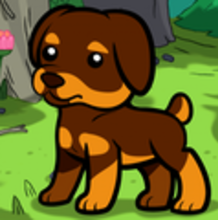 How to Draw a Rottweiler For Kids