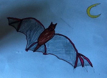 How to draw a Halloween bat