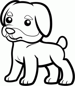 How to draw how to draw a rottweiler for kids - Hellokids.com