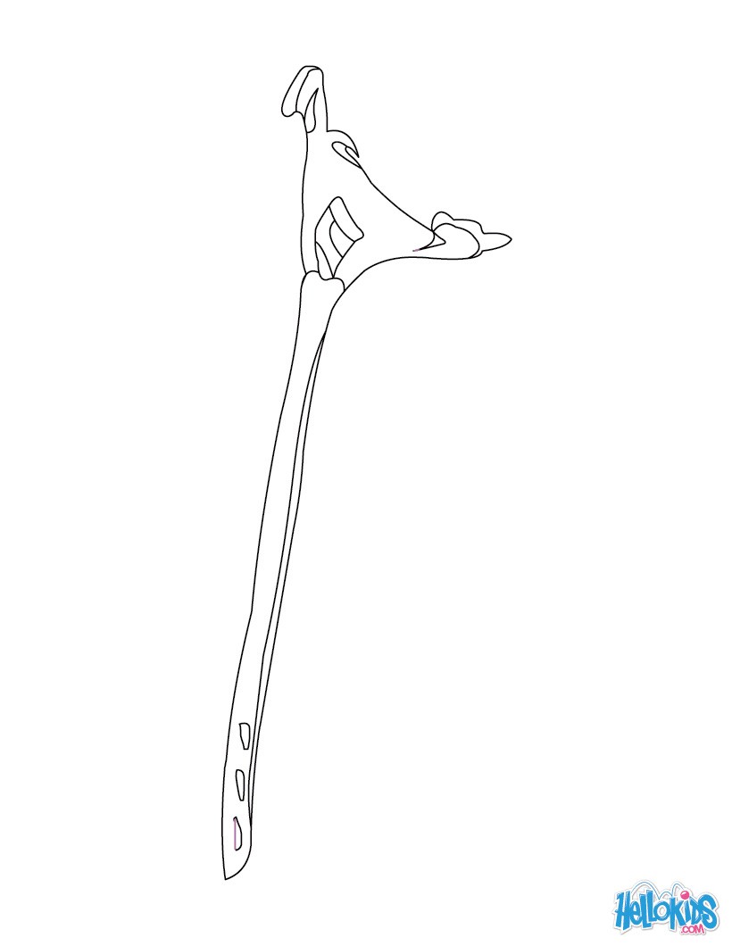 Homo Sapiens Coloring Pages 12 Prehistory Coloring Books