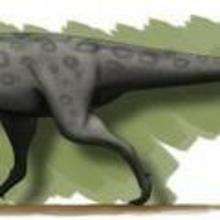 hellokids-how-to-draw-a-carnotaurus-carnotaurus-dinosaur ... spine diagram bones 