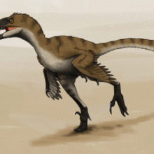 How to Draw Raptors how-to draw lesson