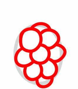 How to draw how to draw a raspberry - Hellokids.com