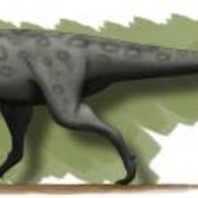 How to Draw a Carnotaurus, Carnotaurus Dinosaur how-to draw lesson