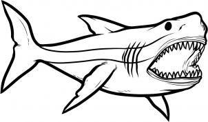 How to draw how to draw megalodon, megalodon shark - Hellokids.com